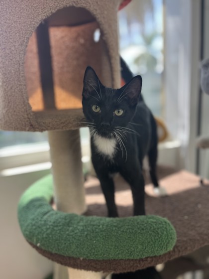 Image of Skeeter