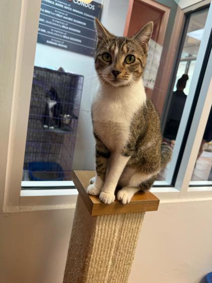 Image of Mimi