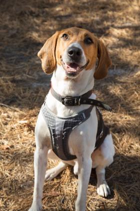 Murphy