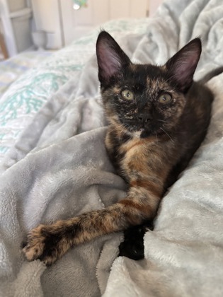 TIFF - FOSTER - SPECIAL NEEDS