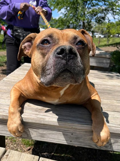 Max