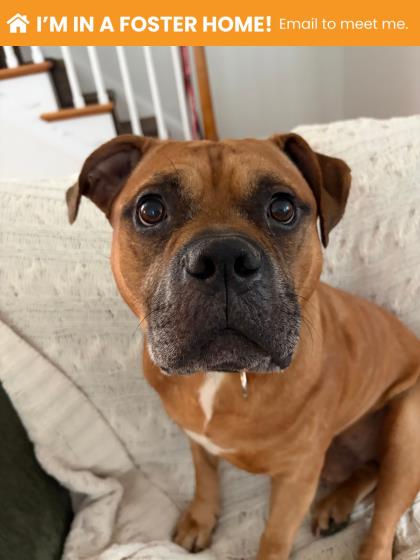 Max