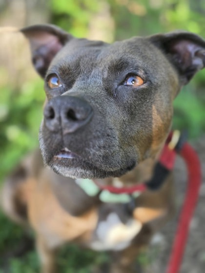 Good Girl