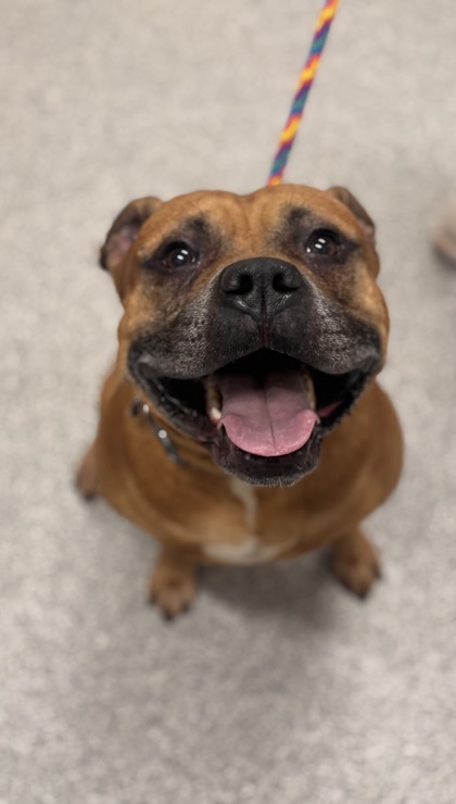 Max