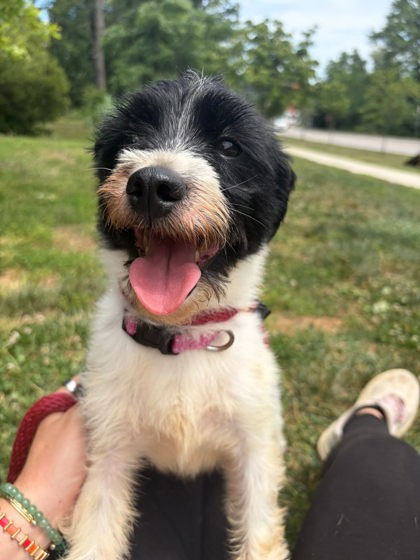 Max
