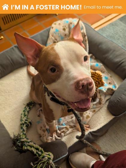 Roscoe