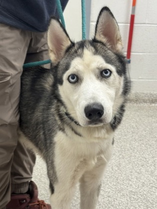 Yukon