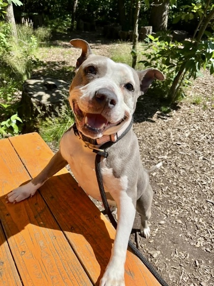 Turbo Spud (mama)