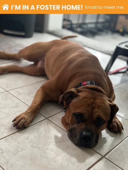 Max