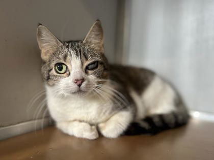 Mimsy photo