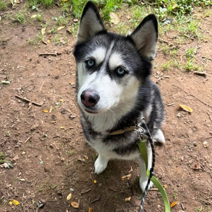 Sasha — photo 2