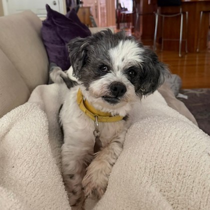 Cooper photo