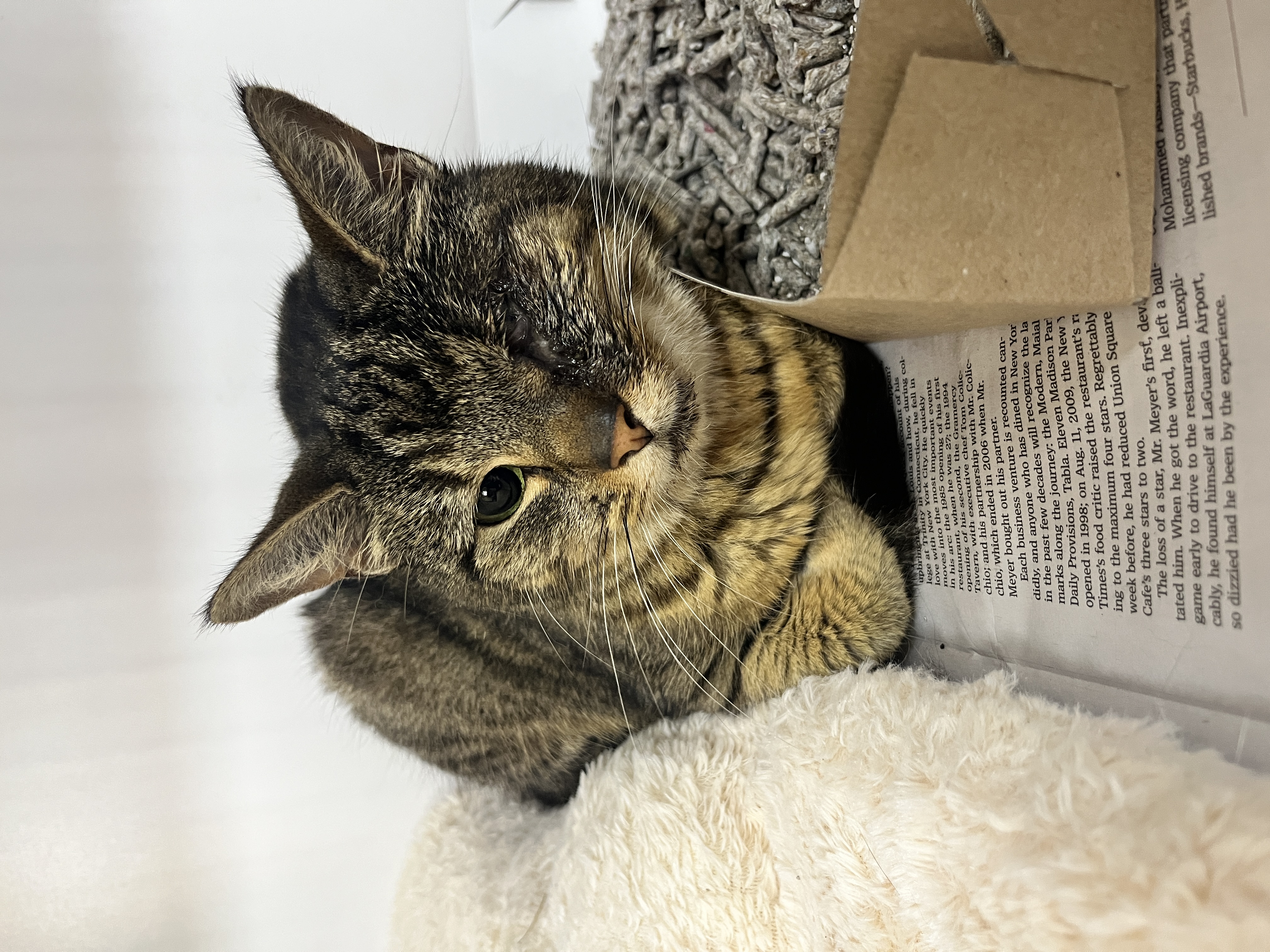 One-Eyed Jackie — photo 1
