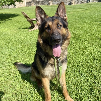 Duke photo