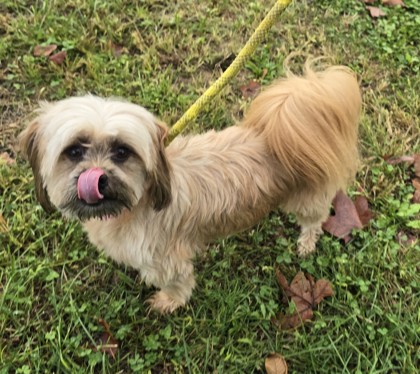 Mimi — foto 3