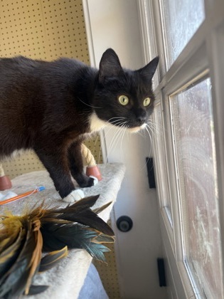 Fiona photo