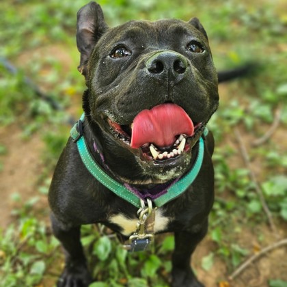 Milly photo