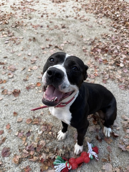 Baby Girl Luna photo