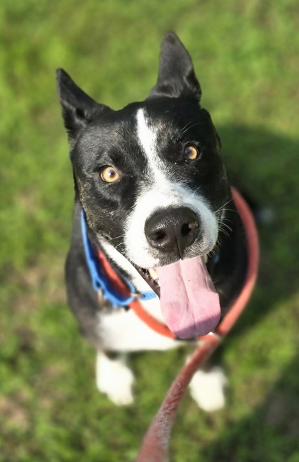 Charlie photo