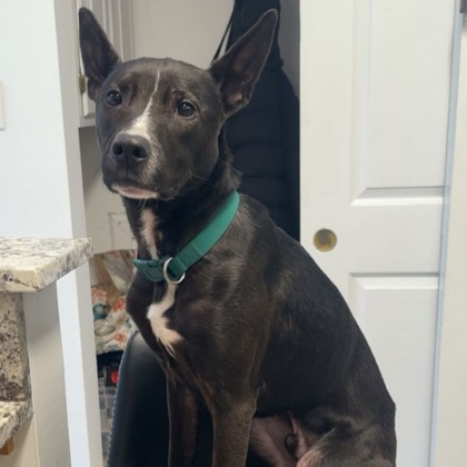 Zeus photo