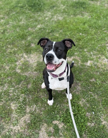 Baby Girl Luna photo