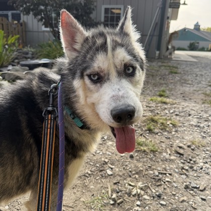 Oskar