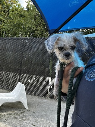 Layla — photo 3