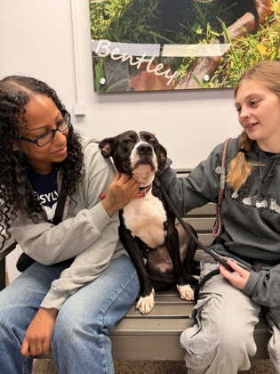 Baby Girl Luna photo