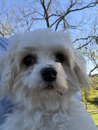 Mabel — photo 1