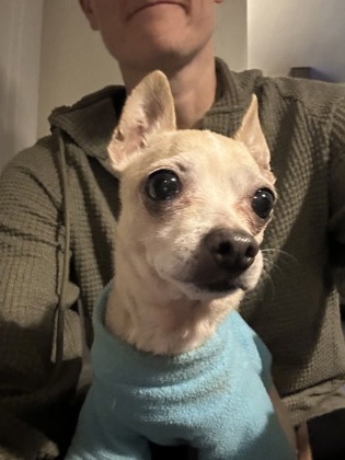 Snowball — photo 2
