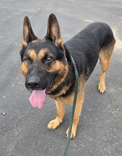 Zeus photo