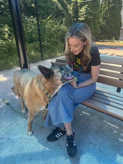 Bach photo