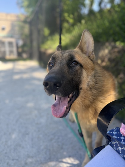 Tank photo