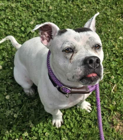 Lola photo