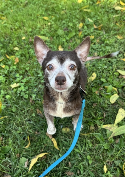 Coco