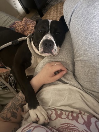 Baby Girl Luna photo