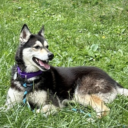 Bella photo