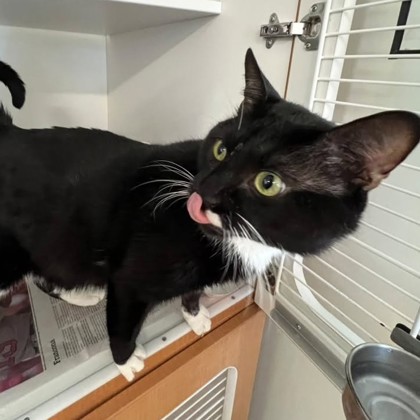 Pablo
