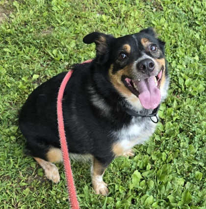 Oliver photo