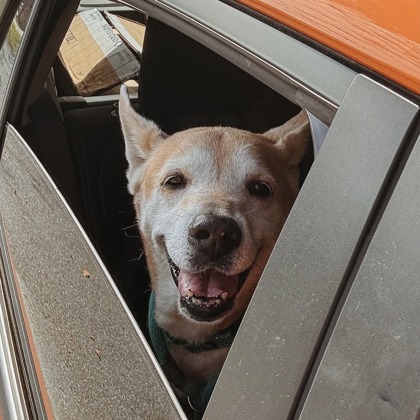 Buddy photo
