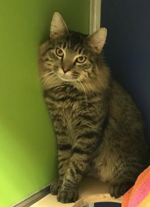 Ralph photo