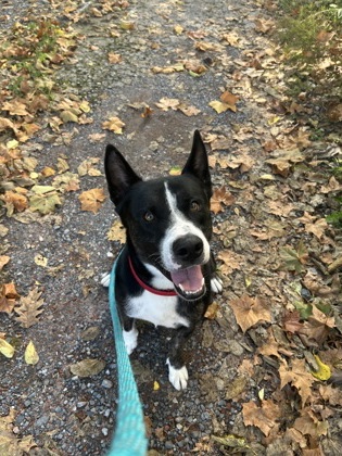 Charlie photo