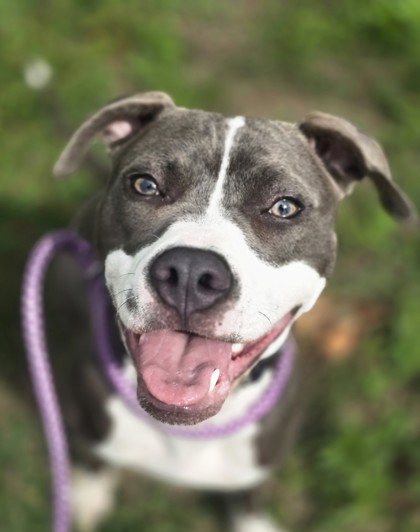 Orphan Annie photo