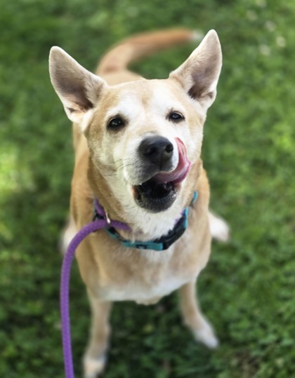 Buddy photo