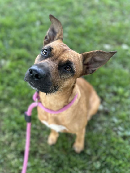 Lucy
