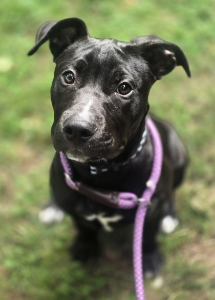 Gunther photo