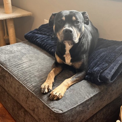 Roxy photo