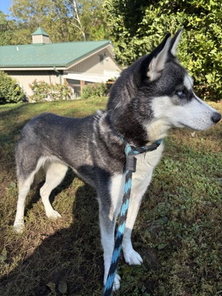 Freya photo