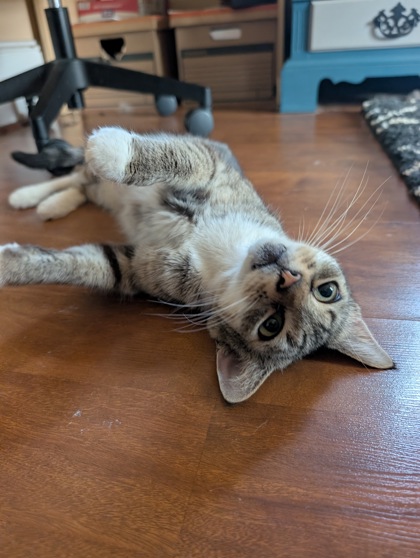 Janet