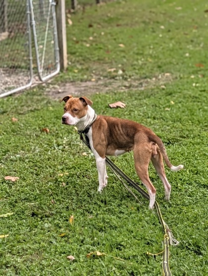 Lucy photo